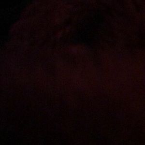 Meet your Posher, Jermail